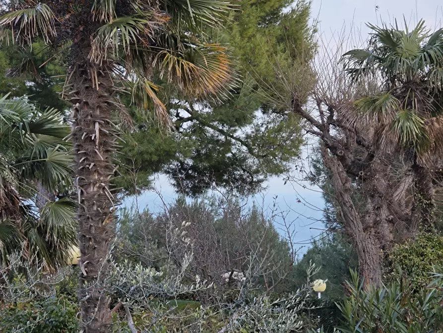 Immagine 89 di Casa indipendente in vendita  in Via Giacomo Matteotti 10 a Numana