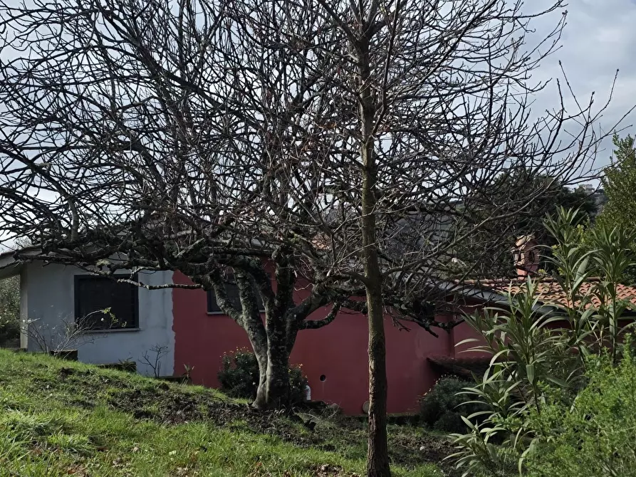 Immagine 39 di Villa in vendita  in Via Monte la Pera 22 a Castelnuovo Di Porto