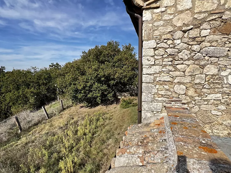 Immagine 48 di Rustico / casale in vendita  in Vocabolo Pupiglian 1 a Guardea