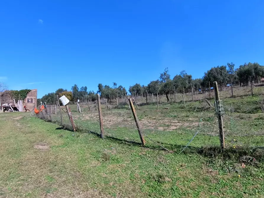 Immagine 28 di Villa in vendita  in Strada Comunale Campo Maggiore 10 a Rignano Flaminio
