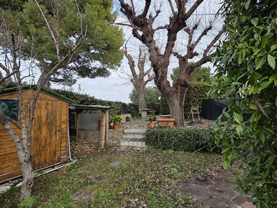 Immagine 44 di Casa indipendente in vendita  in Via Giacomo Matteotti 10 a Numana