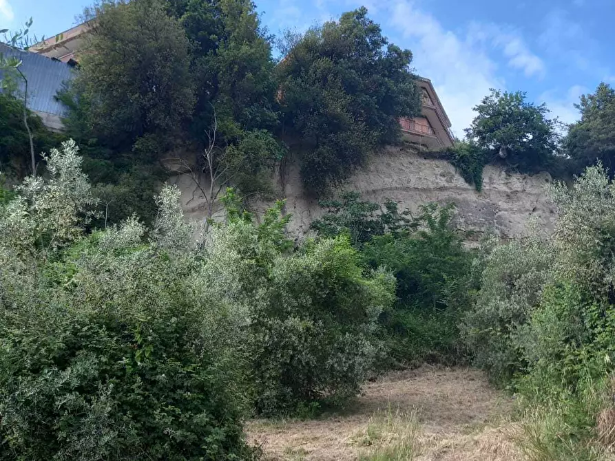 Immagine 11 di Terreno agricolo in vendita  in Via Giulio Roncacci 1 a Morlupo