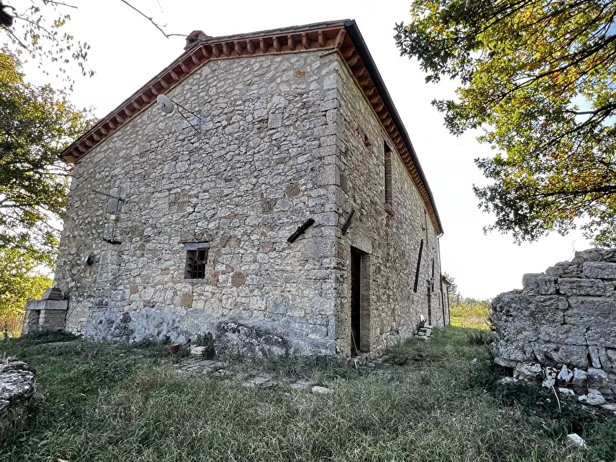 Immagine 40 di Rustico / casale in vendita  in Vocabolo Pupiglian 1 a Guardea