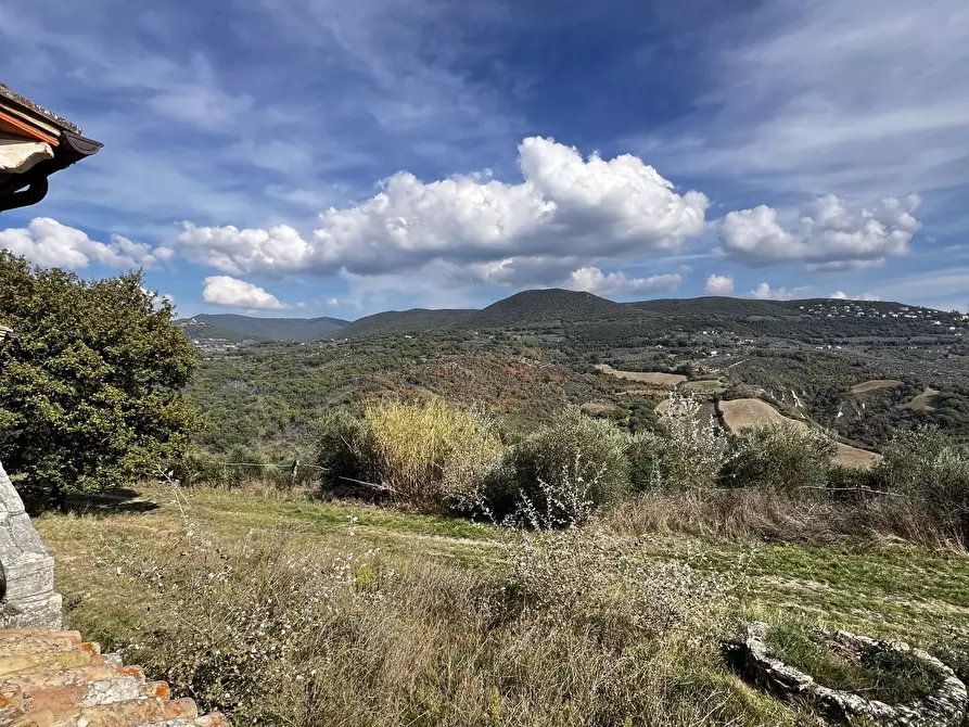 Immagine 90 di Rustico / casale in vendita  in Vocabolo Pupiglian 1 a Guardea