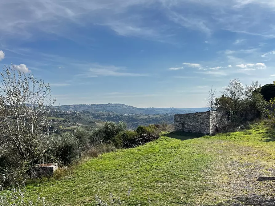 Immagine 89 di Rustico / casale in vendita  in Vocabolo Pupiglian 1 a Guardea