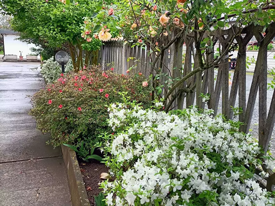 Immagine 72 di Casa bifamiliare in vendita  in Via Lombardore 243 a Ciriè