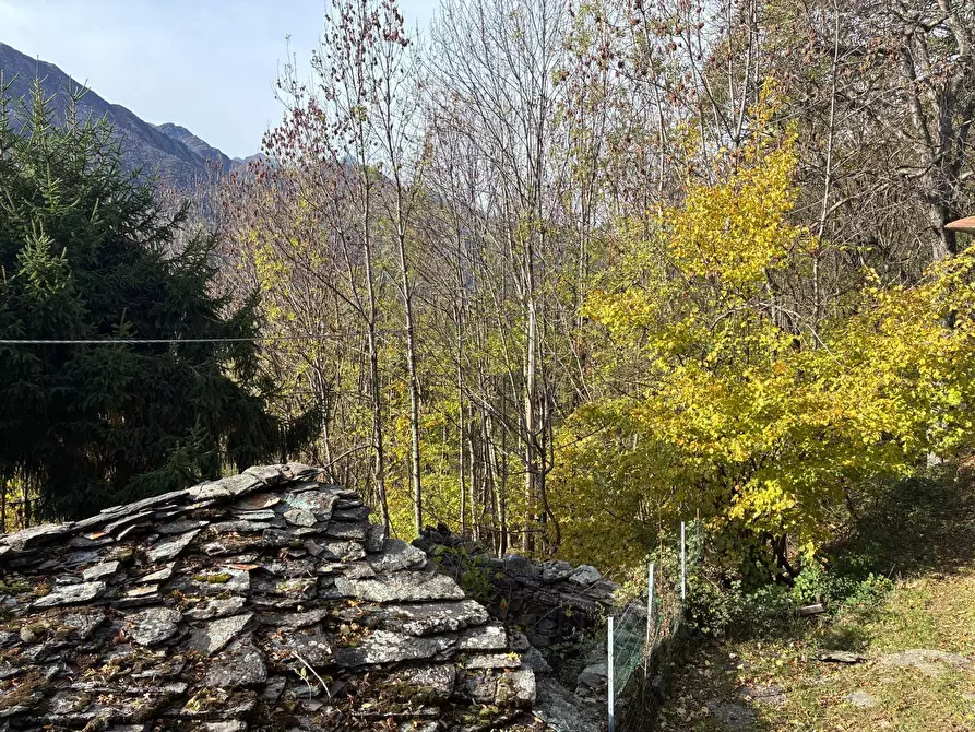 Immagine 7 di Terratetto in vendita  in FRAZIONE LE COSTE 11 a Lemie