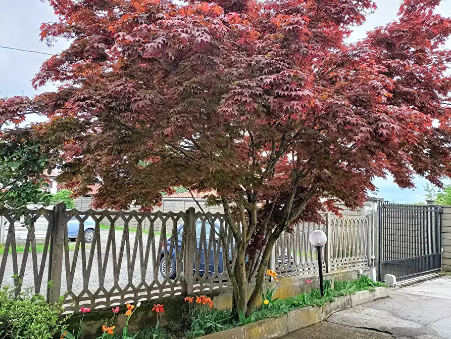 Immagine 76 di Casa bifamiliare in vendita  in Via Lombardore 243 a Ciriè