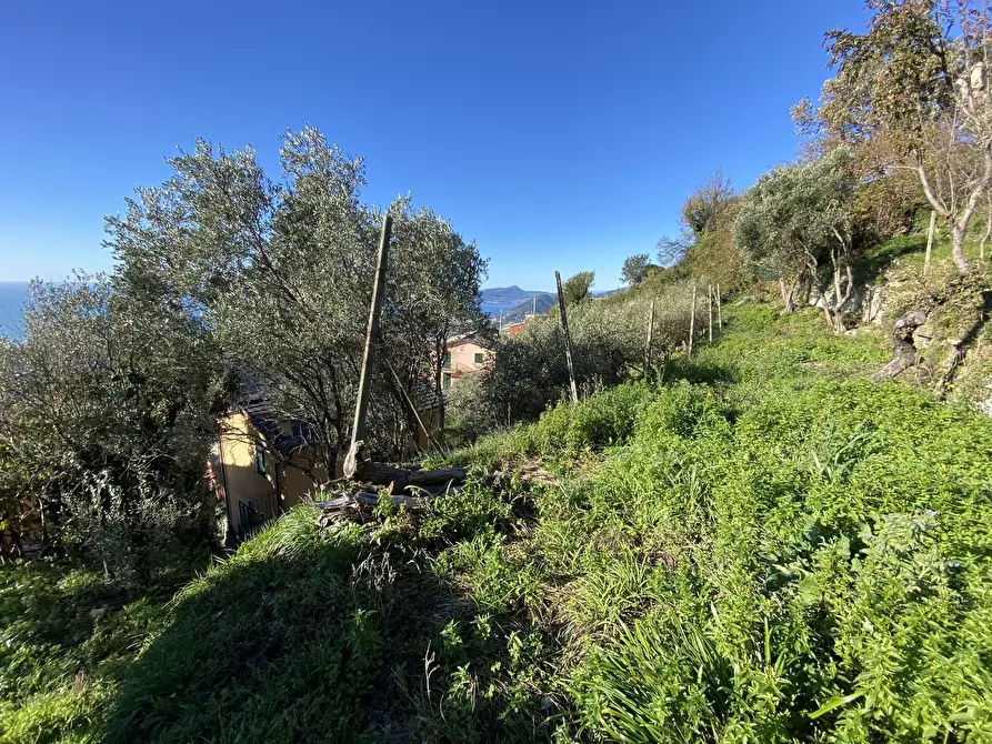 Immagine 36 di Casa indipendente in vendita  a Cogorno