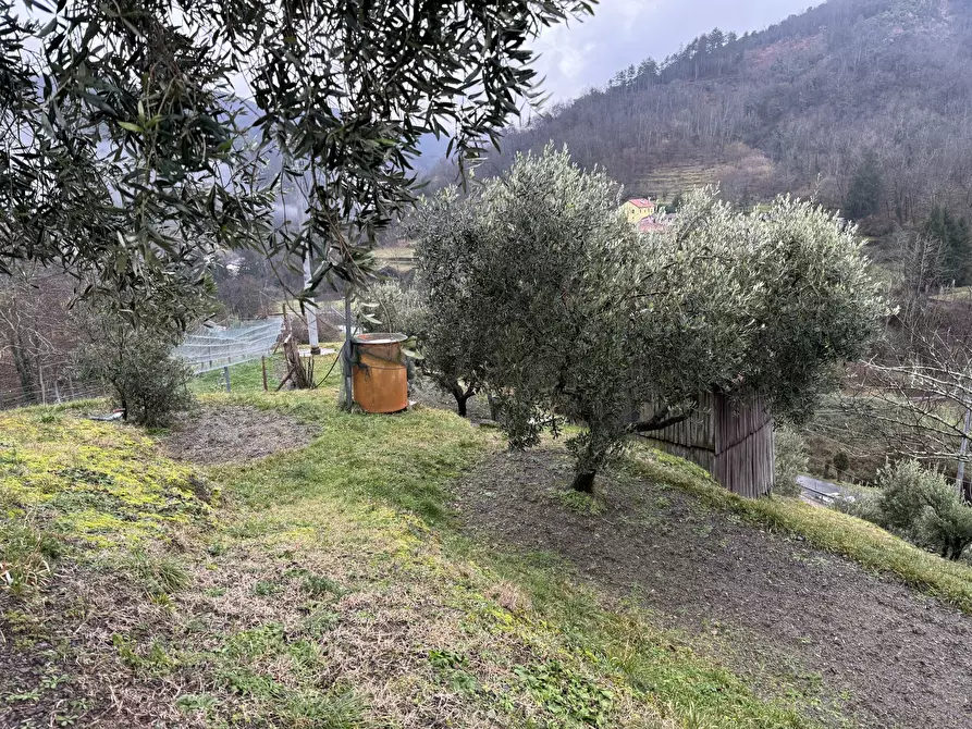Immagine 8 di Porzione di casa in vendita  a San Colombano Certenoli