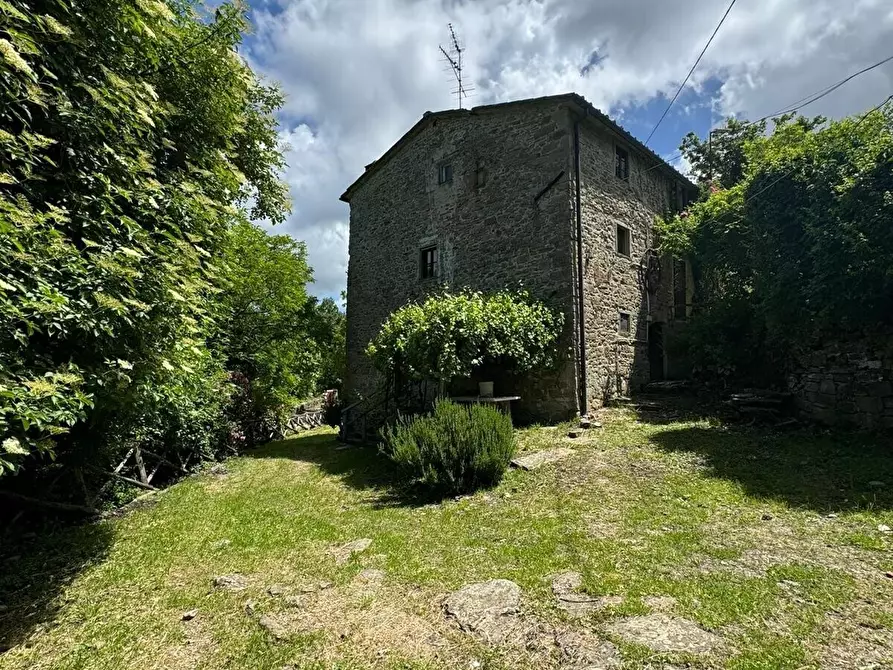 Immagine 4 di Villa in vendita  in Località Borselli Meo a Pontassieve