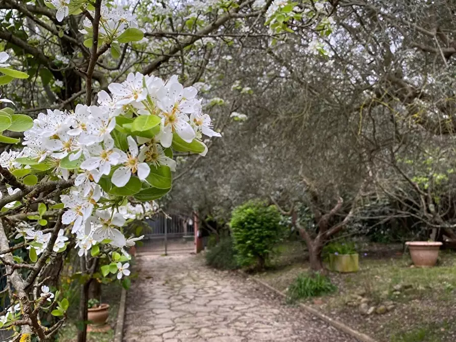 Immagine 35 di Terratetto in vendita  in Via di Carcheri a Lastra A Signa