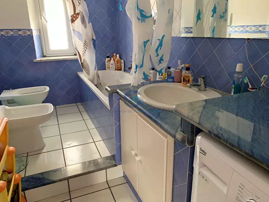 Immagine 13 di Attico in affitto  a Catanzaro