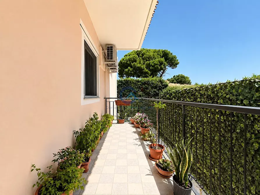 Immagine 3 di Quadrilocale in vendita  in Via Nino Gemelli 19 a Catanzaro