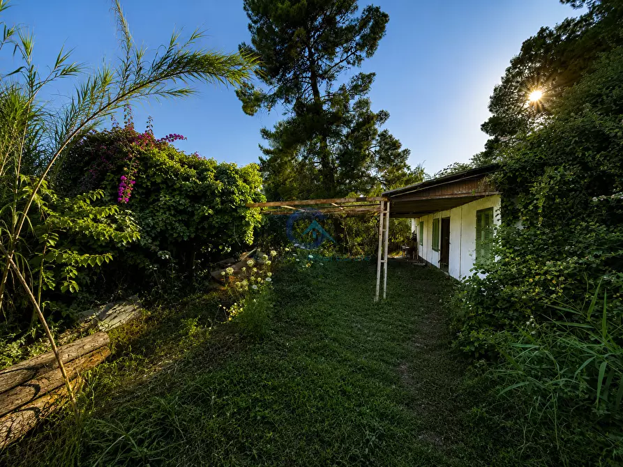 Immagine 6 di Terreno edificabile in vendita  in Contrada Costa degli Aranci 18 a Montauro