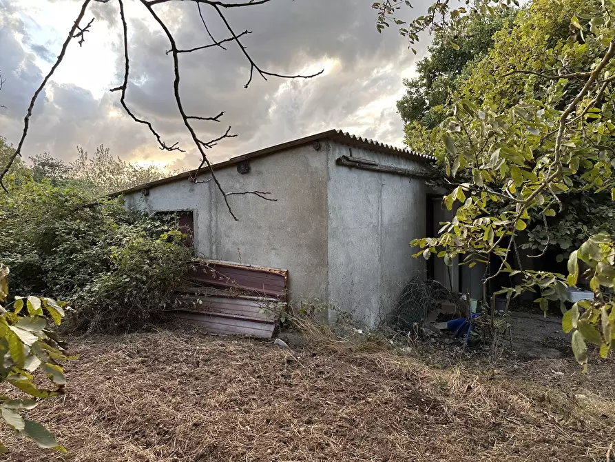 Immagine 3 di Terreno agricolo in vendita  in Via San Fantino a Borgia