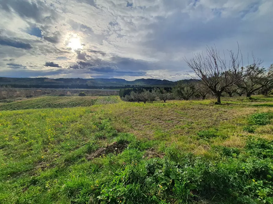 Immagine 1 di Terreno agricolo in vendita  a Catanzaro