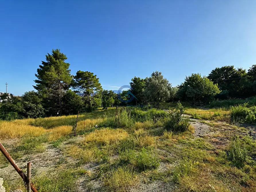 Immagine 4 di Terreno edificabile in vendita  in Contrada Costa degli Aranci 18 a Montauro