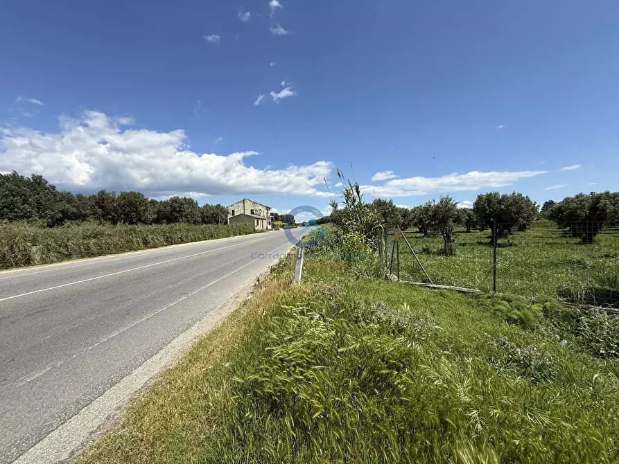 Immagine 6 di Terreno industriale in vendita  in Via Bellino 67 a Catanzaro