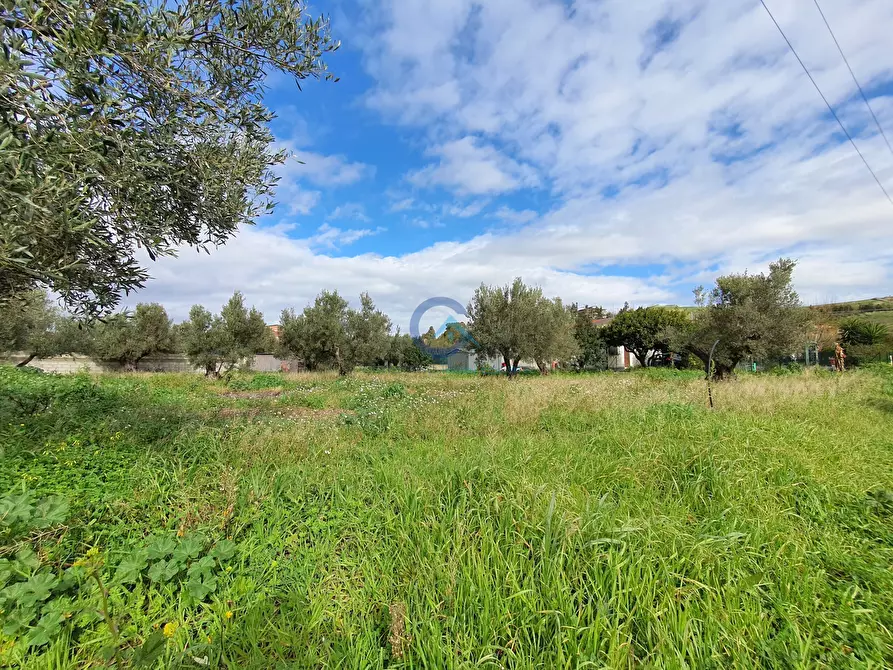 Immagine 6 di Terreno edificabile in vendita  in Via Fiume Neto 9 a Catanzaro