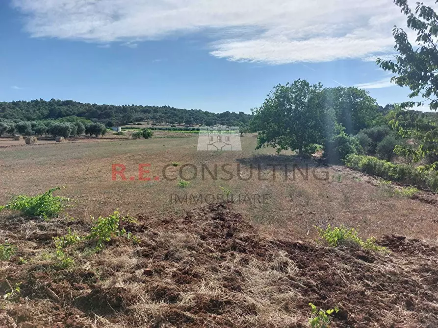 Immagine 6 di Casa indipendente in vendita  in strada sacramento a Ceglie Messapico