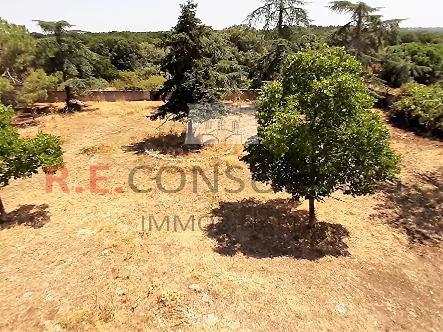 Immagine 29 di Rustico / casale in vendita  in Masseria Corallo snc a Martina Franca