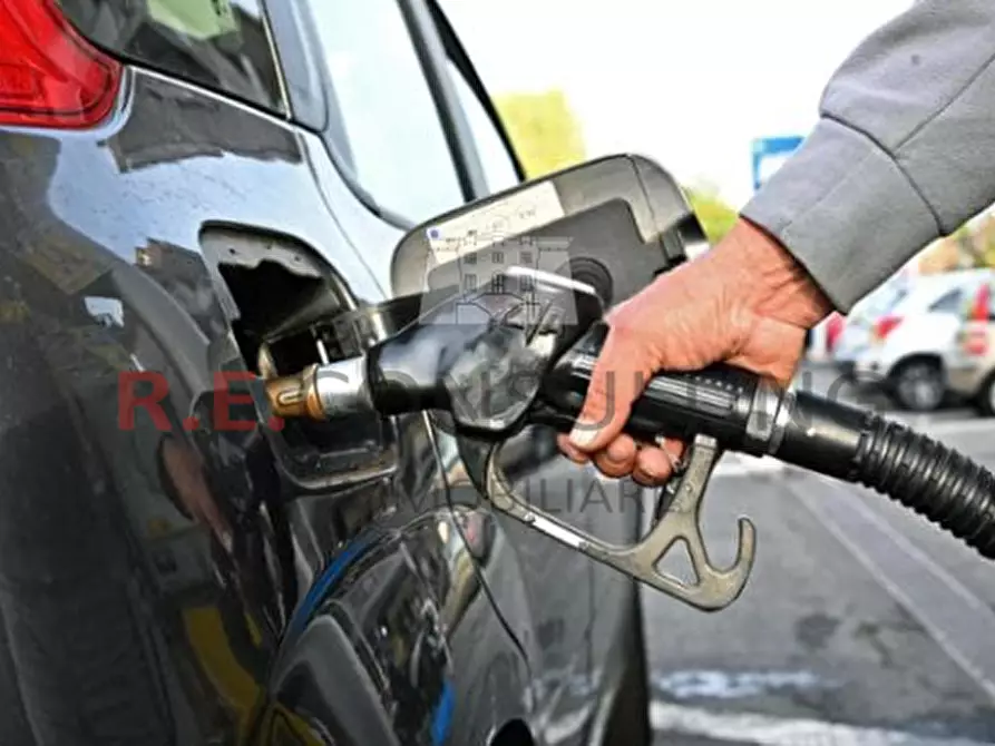 Immagine 3 di Attività commerciale in vendita  in Strada Provinciale ss 16 19 a Bari