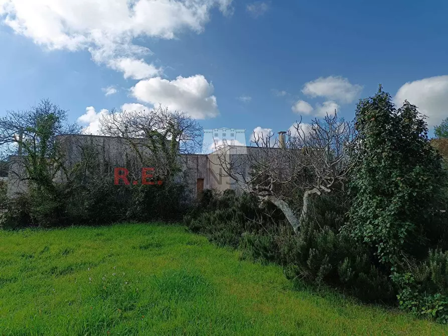 Immagine 25 di Villa in vendita  in SS172 24 a Martina Franca