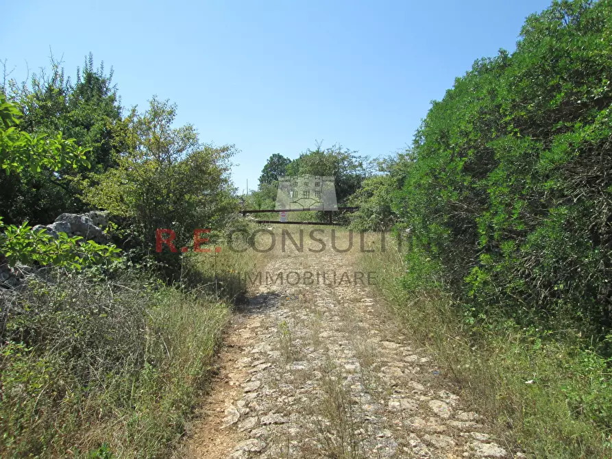 Immagine 4 di Rustico / casale in vendita  in Unnamed Road a Martina Franca