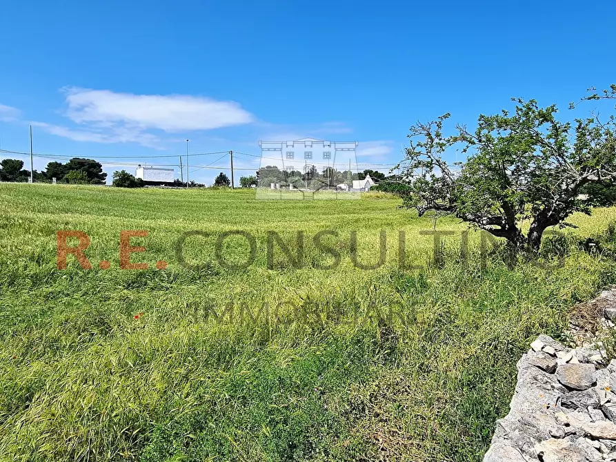 Immagine 26 di Baita in vendita  in Via Chiancaro 96 a Martina Franca