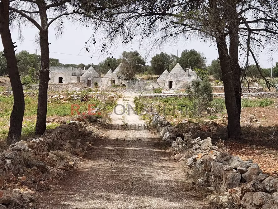 Immagine 1 di Rustico / casale in vendita  in Strada Provinciale 65 52 a Martina Franca