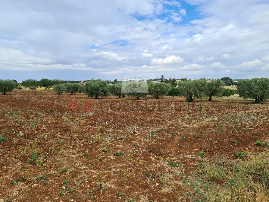 Immagine 7 di Baita in vendita  in Via ospedale a Martina Franca