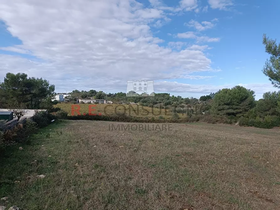 Immagine 2 di Baita in vendita  in contrada cavalcatore a Martina Franca