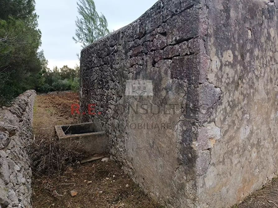 Immagine 8 di Stanza singola in vendita  in strada Cupina a Martina Franca