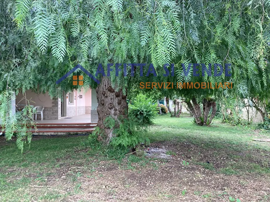 Immagine 12 di Villa in affitto  in Via Isole Marchesi 46 a Siracusa