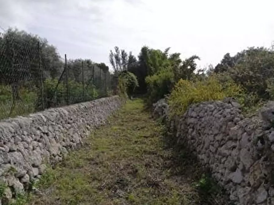 Immagine 9 di Rustico / casale in vendita  in isola a Siracusa