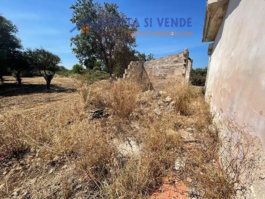 Immagine 11 di Terreno agricolo in vendita  in Traversa Maeggio di Sopra a Siracusa