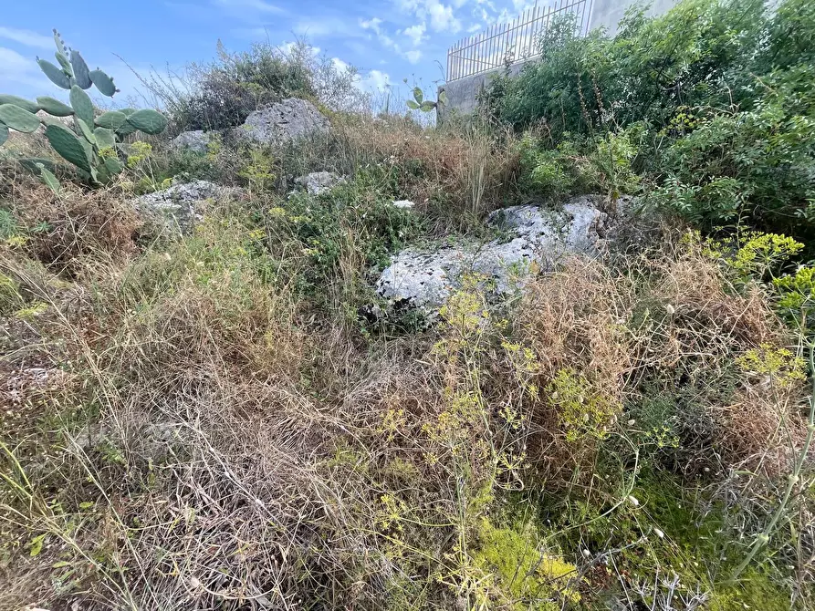 Immagine 5 di Terreno agricolo in vendita  in SOLARINO a Solarino