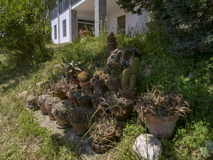 Immagine 15 di Villa in vendita  in via luinengo cossi 61 a Borgiallo
