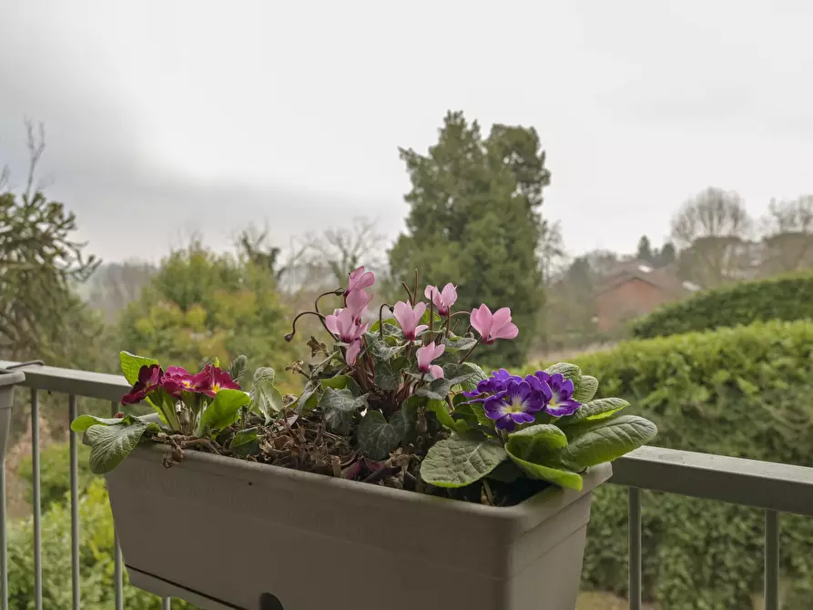 Immagine 59 di Quadrilocale in vendita  in Via Tetto Nuovo 6 a Pino Torinese