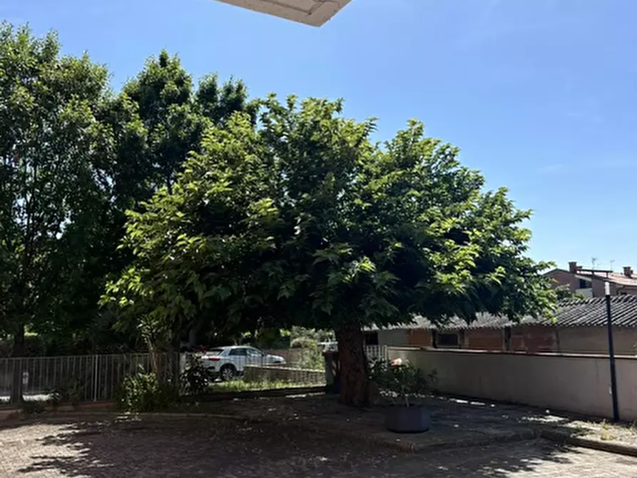 Immagine 8 di Appartamento in vendita  a Cascina