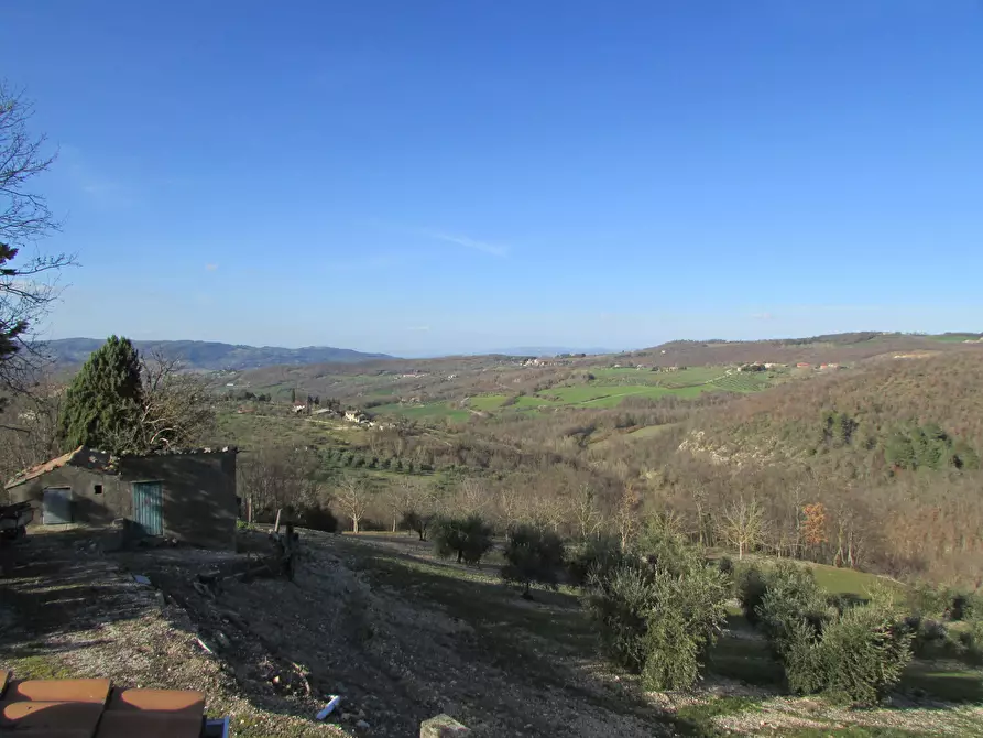 Immagine 5 di Rustico / casale in vendita  a Baschi