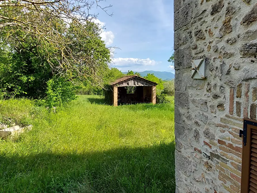 Immagine 29 di Porzione di casa in vendita  a Massa Martana