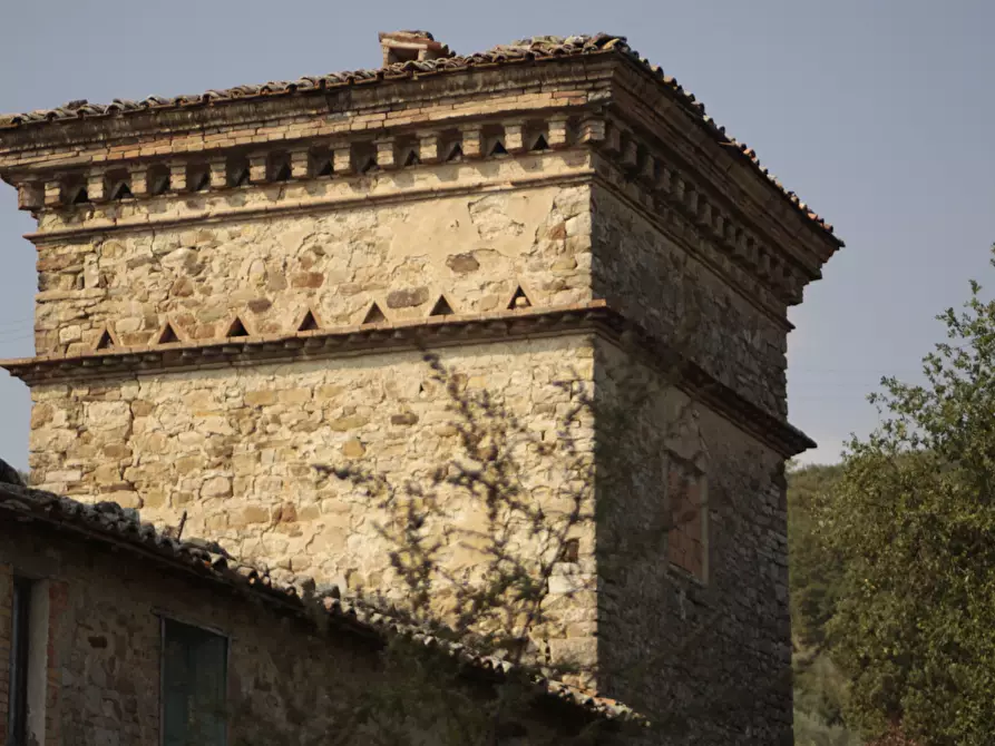 Immagine 3 di Rustico / casale in vendita  a Todi