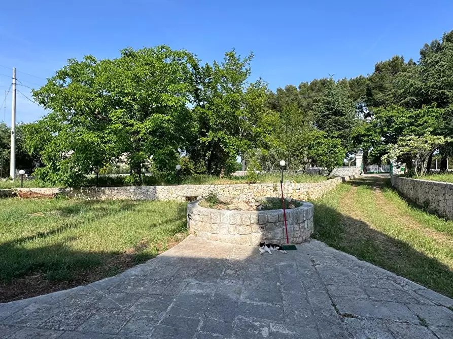 Immagine 7 di Porzione di casa in vendita  in Contrada Antonelli 544 a Monopoli