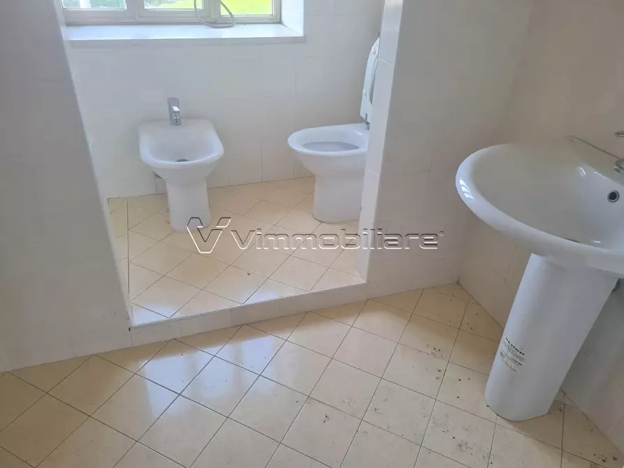 Immagine 20 di Magazzino in vendita  in via pezza bassa 4 a Poiana Maggiore