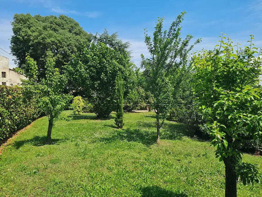 Immagine 35 di Porzione di casa in vendita  in Via Cà Bassa 3 a Albettone