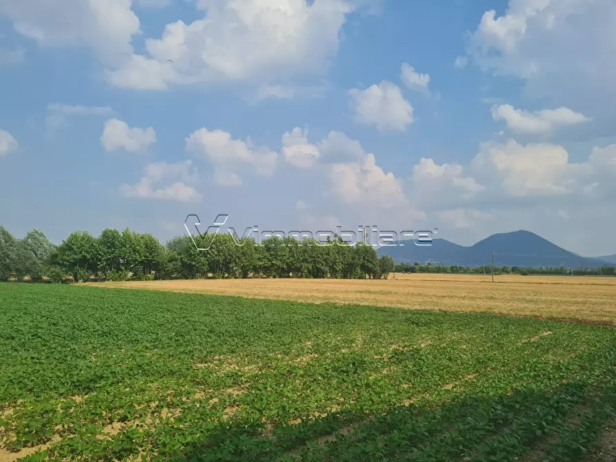 Immagine 4 di Terreno agricolo in vendita  in Via Cà Montanare a Barbarano Mossano