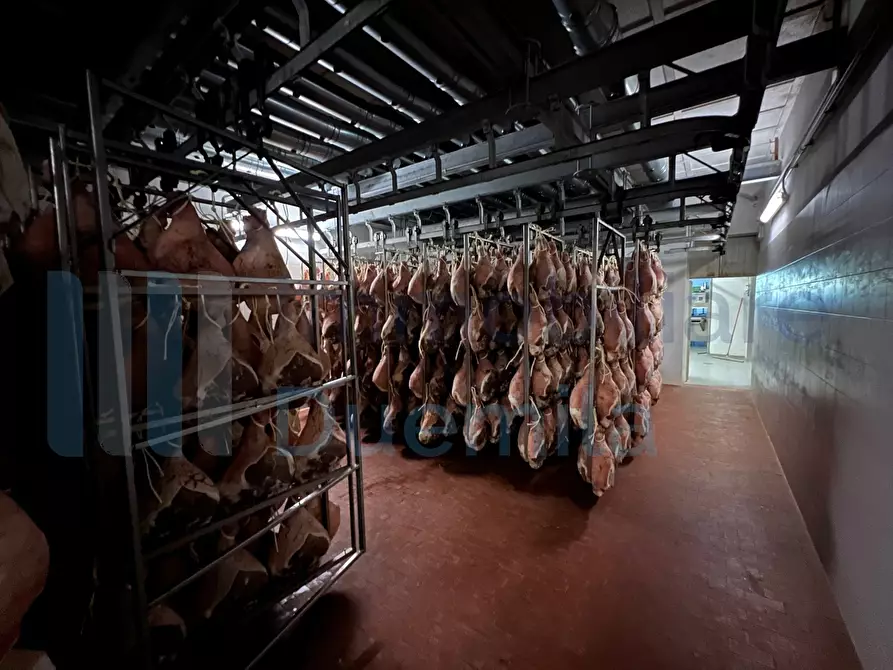 Immagine 9 di Attività artigianale in vendita  a Savignano Sul Panaro