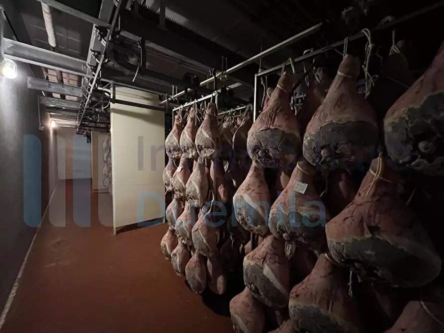 Immagine 10 di Attività artigianale in vendita  a Savignano Sul Panaro